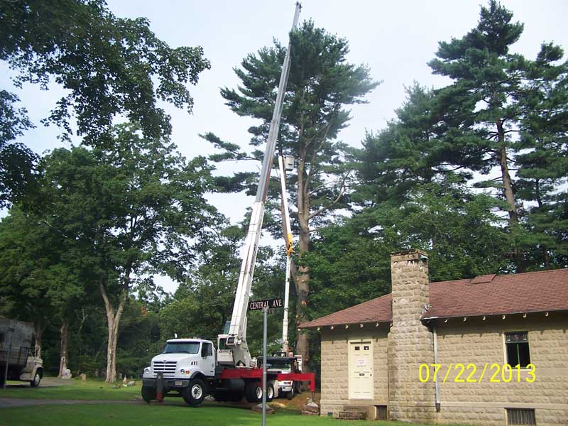 Crane Setup