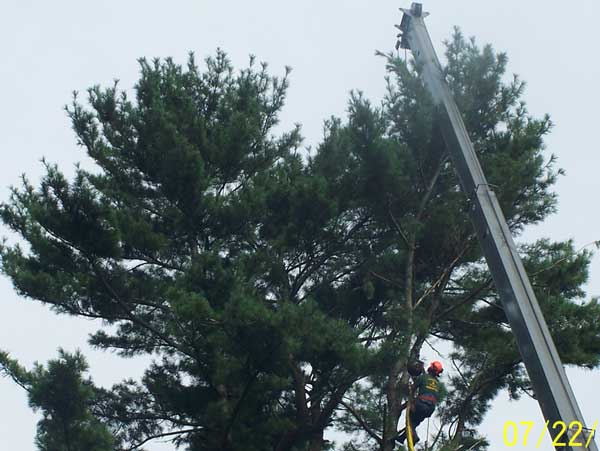 The cable of the crane is used to get the climber to where he has to be.