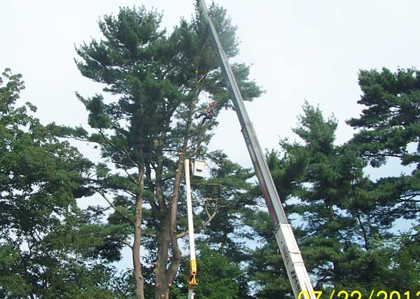 The climber rappels on a rope back to the safety of the bucket