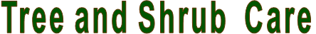 Tree and Shrub  Care