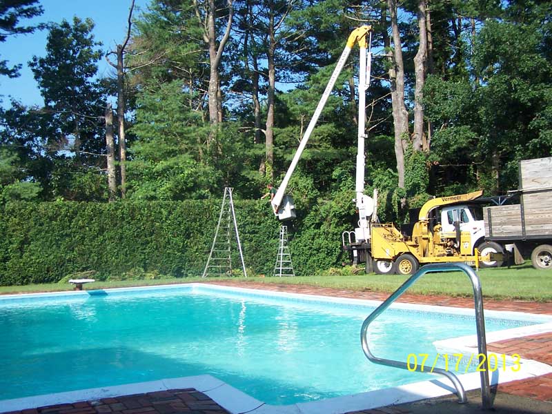 A-Frame ladders, Bucket truck and a wood chipper.