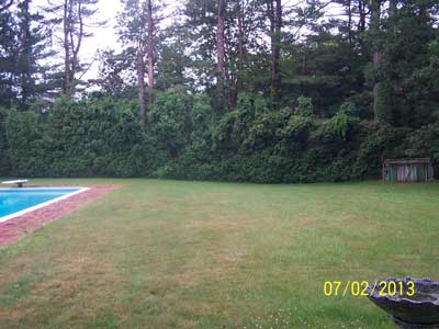 snowbend damage