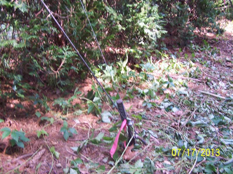 Six 5' metal stakes were used for guying points.  16 gauge wire and " wire depending on the weight and severity  of the bend.